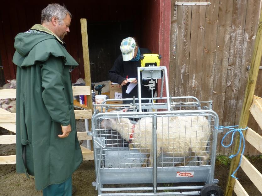 Total årlig kostnad, som er summen av årlige etableringskostnader og driftskostnader, blir da: Total årlig kostnad etablering + drift ved 15 års levetid: 41 833 kr, som tilsvarer 190 kr/daa