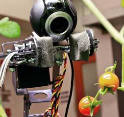 Manipulation of Fruit Robot perception 3 PhDs Fruit picking 4
