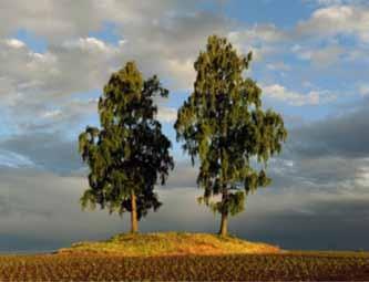 Skjøtsel av åkerholmer, gårdsdammer og store trær Bevare og synliggjøre særegne elementer i jordbrukslandskapet.