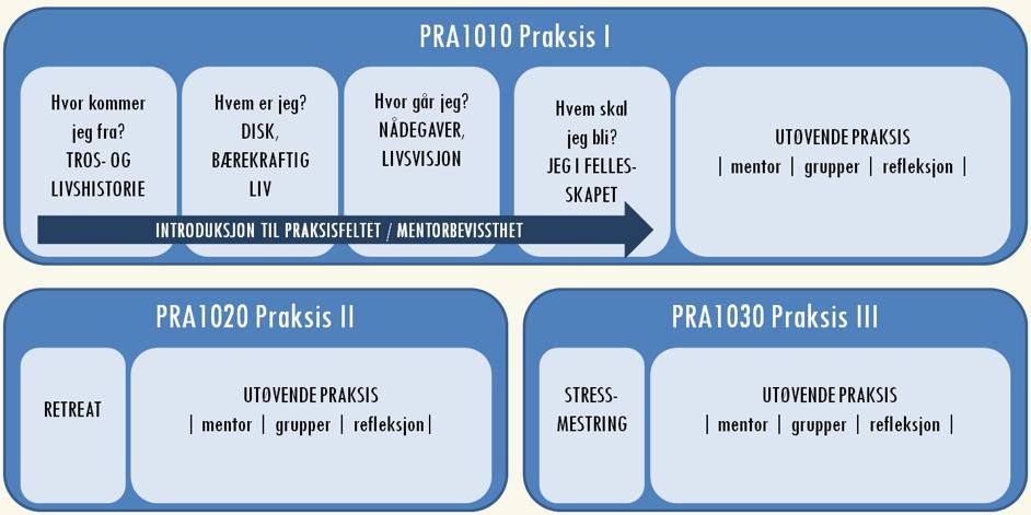 Tredje årsenhet i bachelor i teologi og ledelse består i hovedsak av modulene praksis (PRA) og fordypning (FOR). Organiseringen av disse modulene beskrives i det følgende.