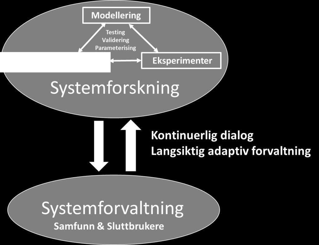 observasjonsserier på økosystemnivå - Adaptiv økosystemforvaltning