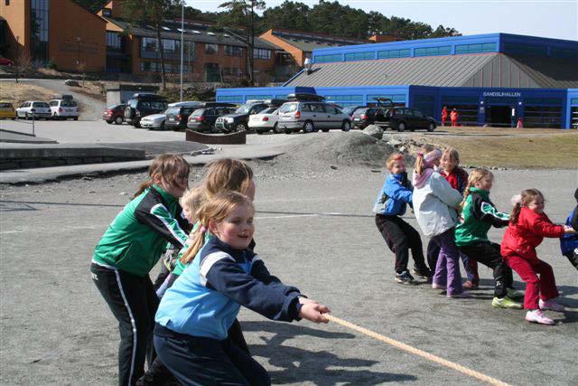 Krefter Skalar Størrelse Vektor