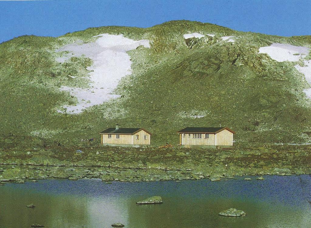 Aurlandsdalen er fremdeles en perle i norsk natur. Etter påtrykk fra naturvernorganisasjonene blir utbyggingen et eksempel på hvordan miljøet kan bevares på tross av inngrepene.