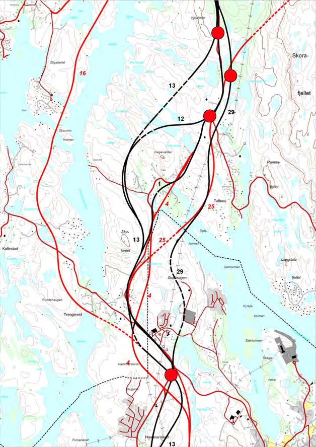 7.2.2 Tellnesskogen Skogsskiftet. Alternativ 13 med variant 12 får konflikt med naturtype A, eit myrområde vest for Tellneskrysset.