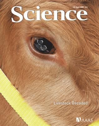 The Bovine Genome Sequencing and Analysis Consortium (2009). The Genome Sequence of Taurine Cattle: A window to ruminant biology and evolution. Science 324: 522-528.