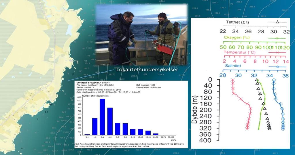 3 BEGRUNNELSE FOR SATSINGEN PÅ LANDBASERT LAKSEPRODUKSJON Grundige forundersøkelser har vist at det foreligger optimale forhold for å drive landbasert oppdrett på lokaliteten: Optimaliserte