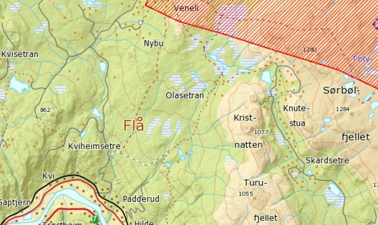 4 1 INNLEDNING ved naturviter Rein Midteng vurderer i dette notatet naturverdiene innenfor et areal i Flå kommune heretter kalt Turufjell.