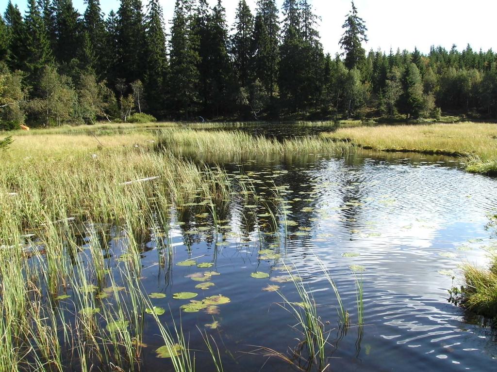 vannforskriften og naturmangfoldloven Nasjonal vannmiljøkonferanse