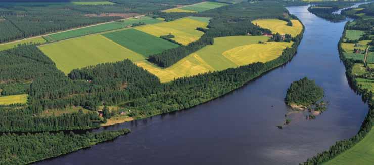 Møllerens Havregryn inneholder lite væske og er valset ekstra tynne. Grynene varmebehandles lenge for å gi en nøtteaktig og rund smak. Det er dette som gjør Møllerens Havregryn så gode.