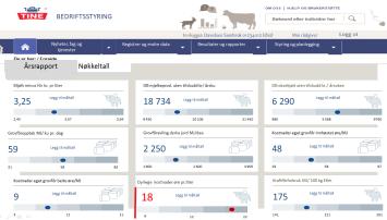 Analyse av nøkkeltall TINE