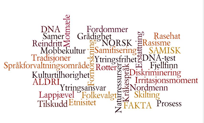 PROSJEKTBESKRIVELSE: Digitála Ránnjááhkut Digitale Nabokjerringer Bakgrunn Året 2011 nådde debatten om Tromsø kommunes søknad om å innlemmes i