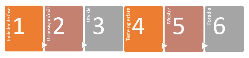 Anbefalt rekkefølge Lage strategi for tjenesteutvikling hvor digitale verktøy er en vesentlig driver Få på plass en organisering som sørger for at rådmann og kommunalsjefer legger premissene og