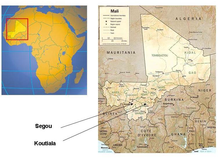 Etnofarmakologiske studier i Mali I følge FNs Human Development Index fra 2006, hvor vurdering levestandard, utdannelse og gjennomsnittsalder ligger til grunn, er Mali rangert som 175 av totalt 177