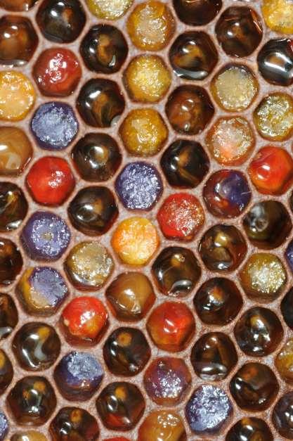 Ekstramulighet Bland honning og rikelig med blå konditorfarge og legg det