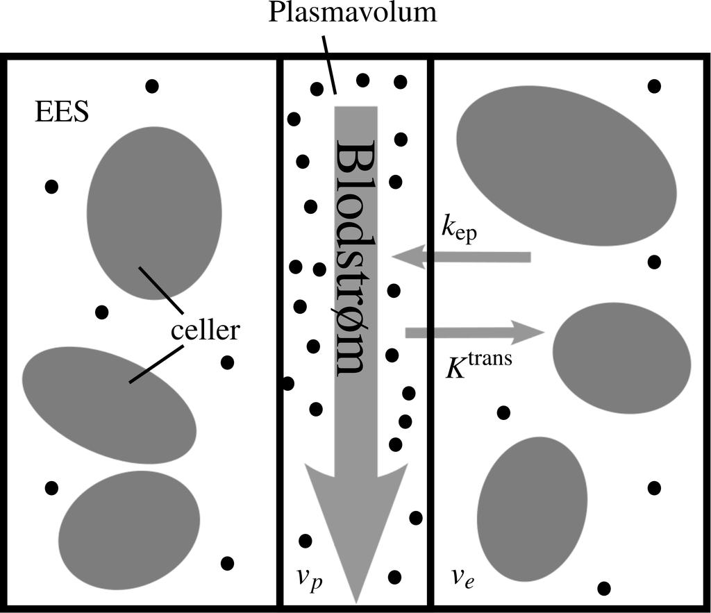 8 Kapittel. Teori Figur.4: To-roms farmakokinetisk modell. De svarte prikkene representerer KMet. kulære rom og det ekstravaskulære, ekstracellulære rom (EES 4 ). Figur.4 illustrerer en slik to-roms modell.