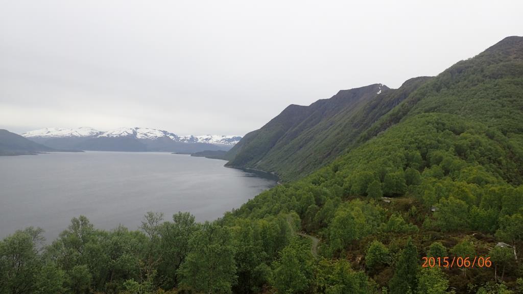 av vegetasjonen på toppen av siden