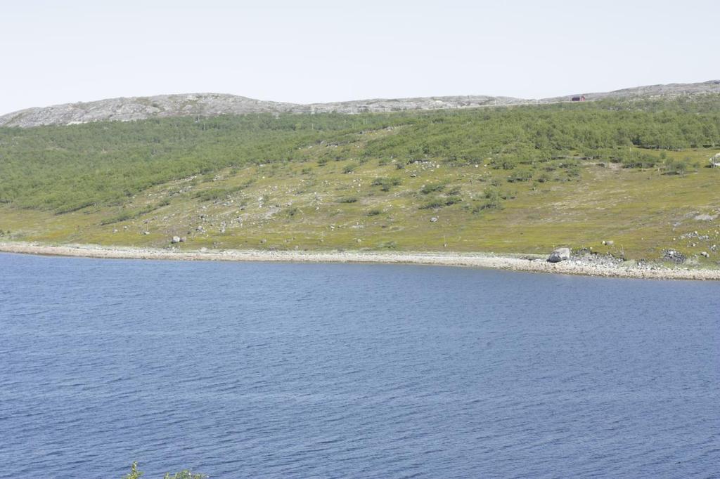 Figur 2 Lokalitetene på østsida av Høybukt ligger i et belte fra venstre til høyre, mellom 20 og 25 meter over havet. Sett fra vest.