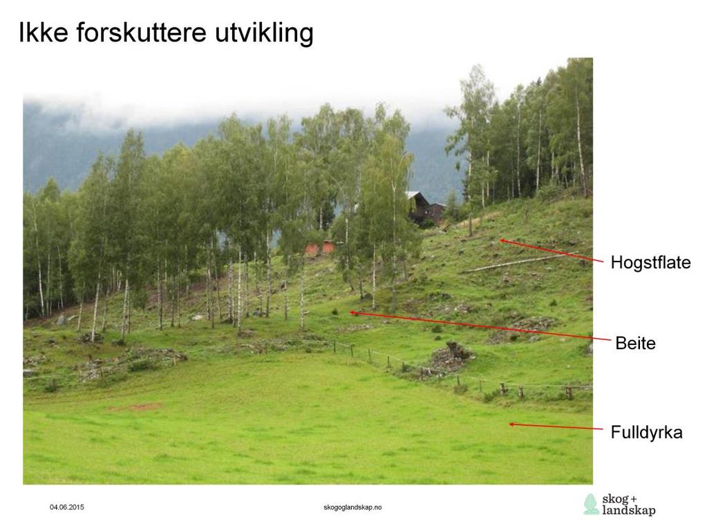 Nyrydda areal der deler kan holde kravet til innmarksbeite, mens deler fortsatt er å betrakte som skog (hogstflate).