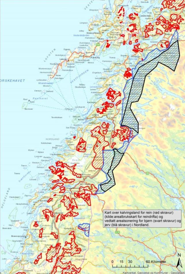 Bjørn Forvaltningsplanen med nye alternativer for bjørnesoner kan ikke tas stilling til uten at det foreligger en konsekvensutredning som belyser næringsutøvelse og andre samfunnsinteresser, sett i