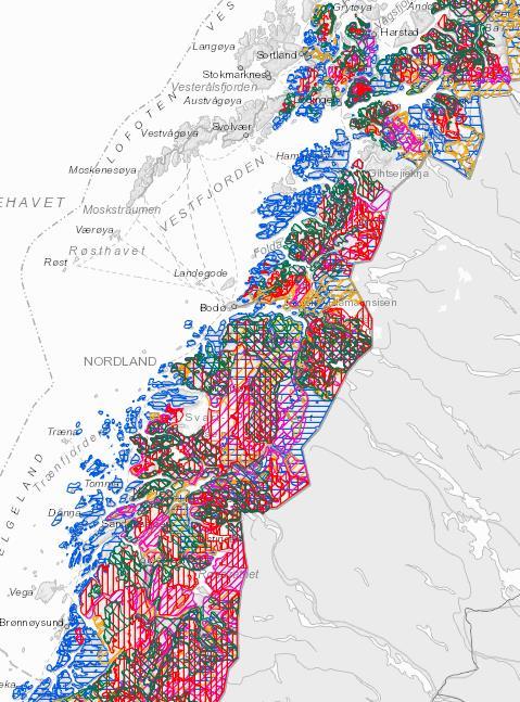 Nordland utgangspunkt Tamrein 12 reinbeitedistrikt i Nordland reinbeiteområde, ca 40 siidaandeler 15000 rein på vinteren + kalveproduksjon Svensk