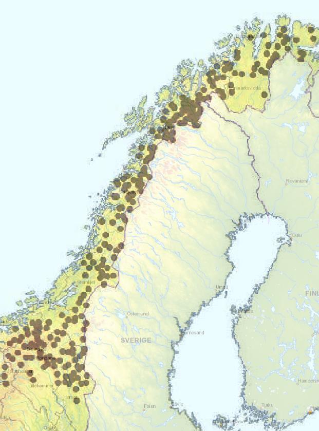 Nordland fylke utgangspunkt Jerv Utbredelse i store deler av
