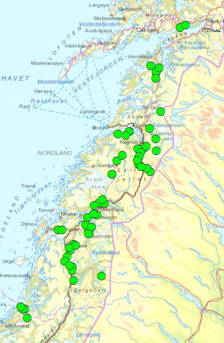 Nordland fylke utgangspunkt Gaupe Hovedutbredelse i de store