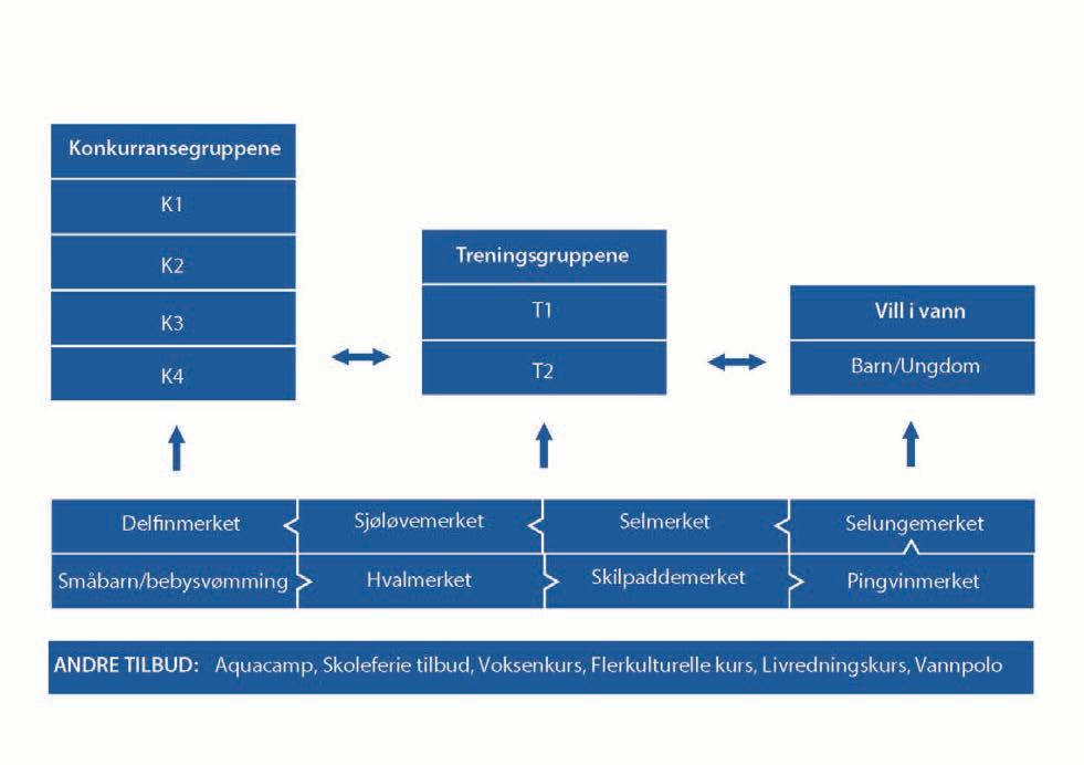 Konkurranseavdeling Konkurranseavdelingen i BS-LK er inndelt i grupper basert på alder og nivå.