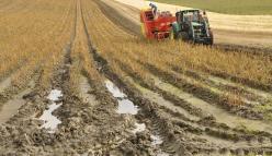 2010-krisen avdekket flere svakheter 1) Landbrukspolitiske virkemiddel og
