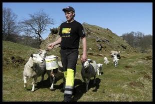 Tromsbonden vil være heltidsbonde ( kan han/hun fortsette med det?