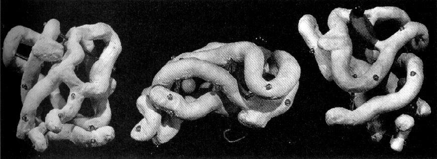 Proteinstruktur Den første tredimensjonale strukturen for et globulært protein ble rapportert i 1958, for myoglobin.