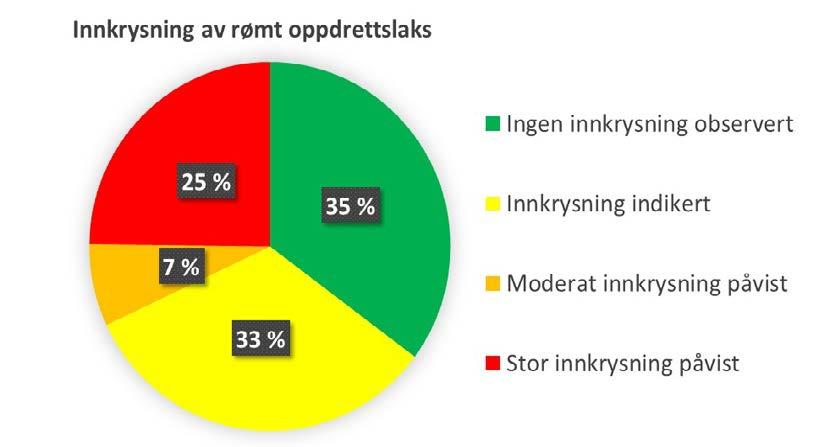 Genetisk innkrysning Kun en tredel av 125 laksebestander viser ingen spor av rømt oppdrettslaks En tredel har moderate til store genetiske endringer Elver langt unna oppdrettsaktivitet har noe