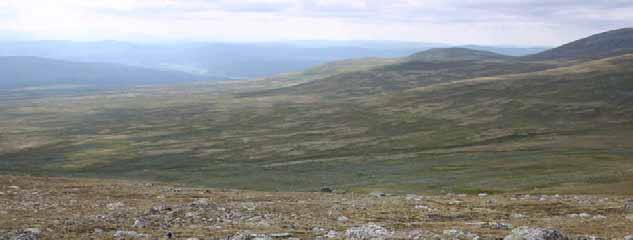 Frå Hodalen i vest kring 800 m o.h. stig terrenget slakt opp til 1100 m, før det går brattare til topps av Håmmålsfjellet.