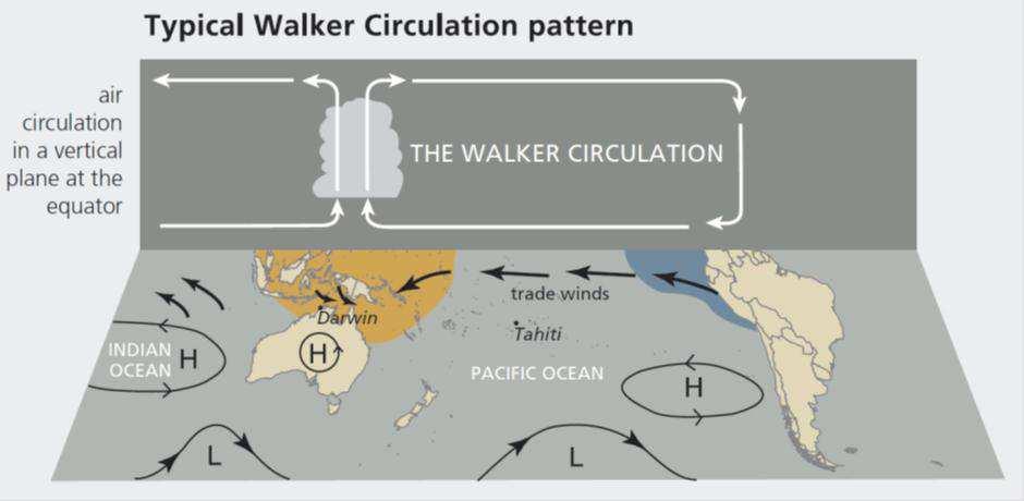 Den sørligeoscillasjonen(so) Den sørlige oscillasjonen (også kalt Walker sirkulasjonen) er et mål på hvor