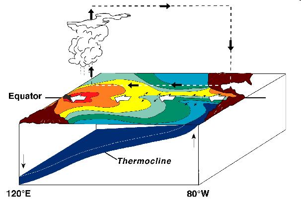 El Nino