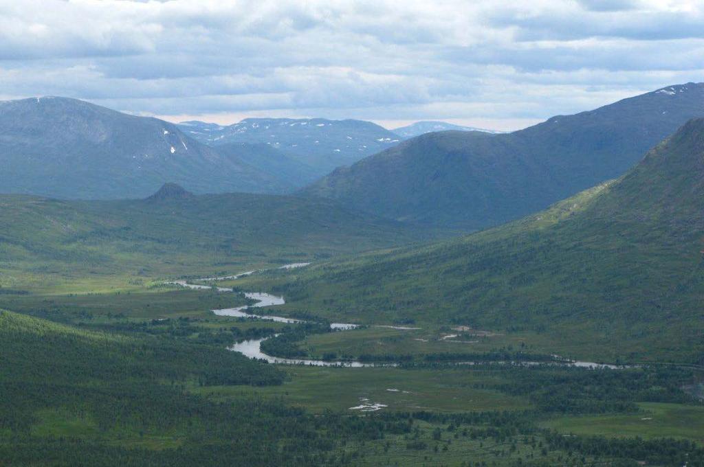 Hva er målet med regulering (verneforskrifter)? Ivareta naturverdier Sikre at den bruk som skjer ikke unødig skader natur, dvs. vegetasjon, berggrunn, løsmasser, dyreliv osv.