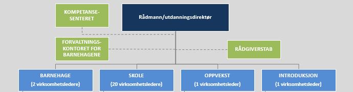 Organisering og