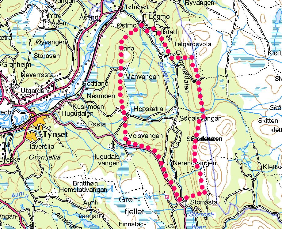 3. OMTALE AV KARTLEGGINGSOMRÅDET 3.1 Oversikt Det kartlagte området er 47 km² og ligg i Tynset kommune nord i Hedmark fylke. Området omfattar sjølve Gammeldalen og fjellet på vestsida av dalen.