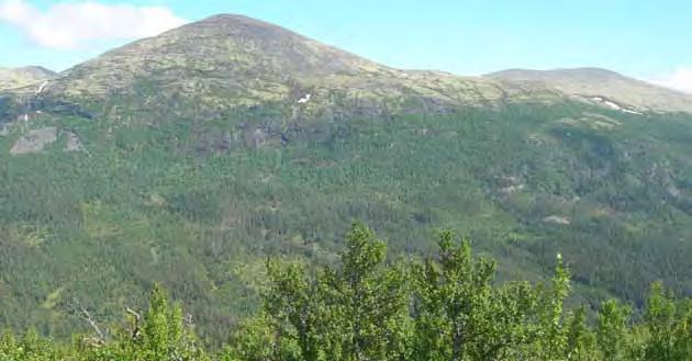 5. VEGETASJONEN I KARTLEGGINGSOMRÅDET 5.1 Vegetasjonssoner Når vi går frå lågland til fjell endrar veksetilhøva seg mykje, særleg da dei klimatiske faktorane.