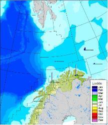 52 Lofoten - Barentshavet Figur 4.2: Til venstre vises månedlig relativ fordeling av sildefangster (tonn) 1995-2004 innenfor fiskeristatistikkens hovedområder.