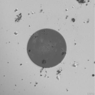 Flere eksempler fra mikroskop Ødelagt konnektor ga 3 db demping og tok ned CWDM-link Oslo-Drammen: Mye avhenger av flaks og uflaks: Måling
