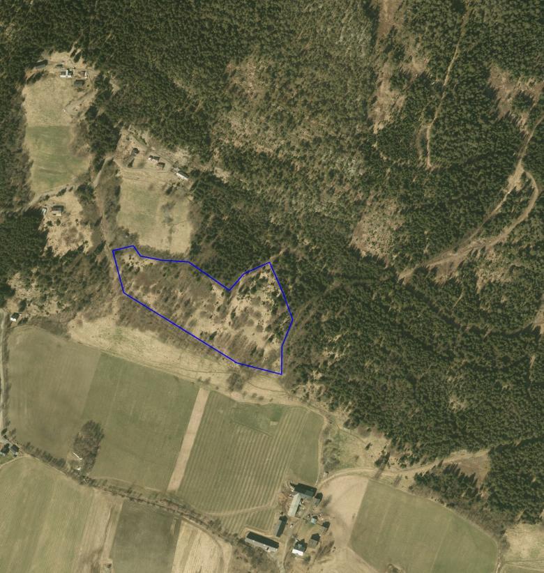 NATURTYPER I RINGEBU FAKTABLAD FOR NATURTYPELOKALITET HØYSTAD Lokalitetsnavn: Høystad ID Naturbase: Ny lokalitet 2009, revidert 2015