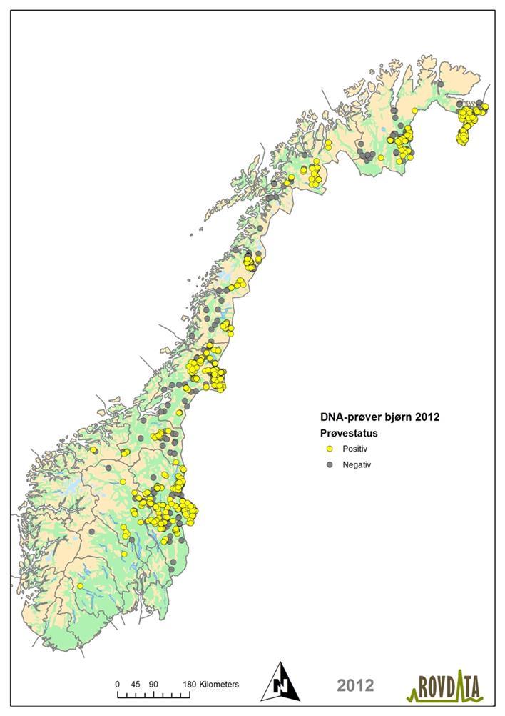 DNA-bjørn 2012 1395 prøver analysert for brunbjørn-dna i 2012.