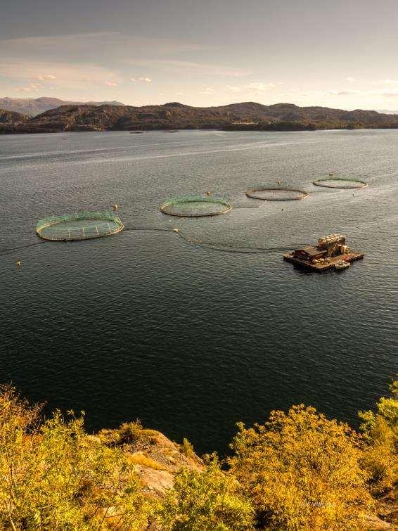 Akvakultur Delmål: Akvakulturnæringa skal vere framtidsretta og konkurransedyktig gjennom ei miljømessig berekraftig utvikling. Plangrep: Gode lokalitetar er gitt høve til utviding og fleksibilitet.