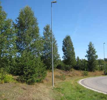 Planteavstand bredde: Jevn bredde med 9,2 m. Utviklingsfase: Trærne er i både klimaks- og avviklingsfasen. Merknader: En del skader på den siden av trærne som vender ut mot vegen.