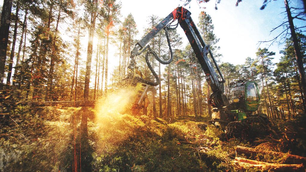 Stort behov framover Allskog FylkesmanNen Foto: Klipp og Lim Framtida ligger I skogen Skogen er mer enn trær. I den ligger også nøkkelen for å nå mange av framtidas energi-, miljø- og klimamål.
