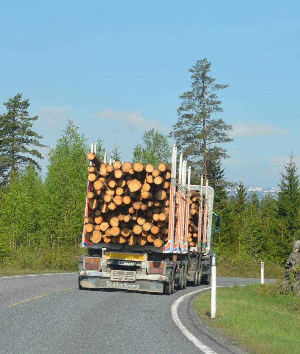 Offentlig vegnett og tømmertransport Foto Anders Hals Klassifisering av offentlig vegnett