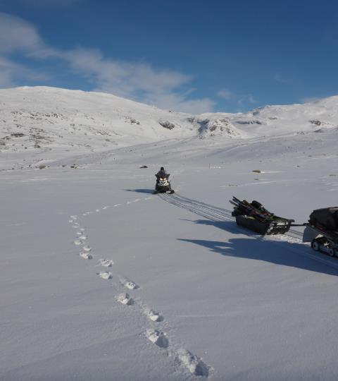 Motorisert ferdsel Er i utgangspunktet forbudt, unntak for uttrykkning, uttransport av skadd bufe og rein, forsvarets lavtflyvning, snøscooter i reindrift og bilveg fra