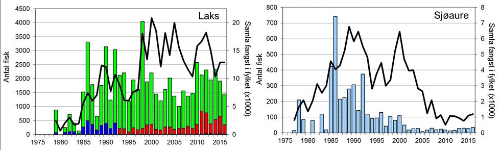 FANGST OG SKJELPRØVAR I OGNA Gjennomsnittleg årsfangst av laks i perioden 1979-2016 var 1722 (snittvekt 2,2 kg).