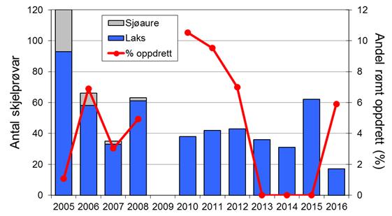 Sidan har det auka, og i 2016 vart det fanga 247 laks (snittvekt 4,8 kg), som er det nest beste resultatet sidan 2001. I perioden 1977-2009 vart fanga i snitt 177 sjøaurar per år (snittvekt 1,0 kg).