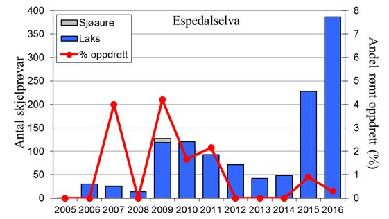 Også enkeltår etter 1988 ser det ut til å vera manglande rapportering. I 2016 vart det fanga 924 laks (snittvekt 4,8 kg), det beste resultatet for heile perioden.